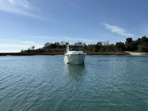Thumbnail von Boston Whaler 285 Conquest Pilothouse