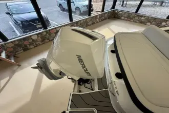 Thumbnail von Sea Ray SPX 210 Outboard