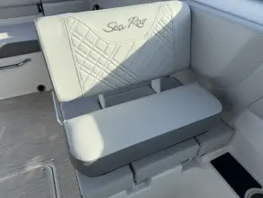 Thumbnail von Sea Ray SDX 250 Hors-bord