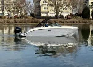 Thumbnail von Sea Ray SDX 250 Hors-bord