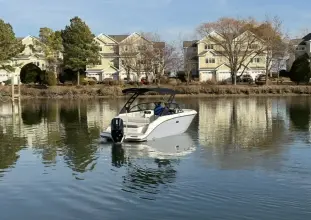 Thumbnail von Sea Ray SDX 250 Hors-bord