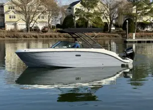 Thumbnail von Sea Ray SDX 250 Hors-bord
