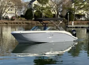 Thumbnail von Sea Ray SDX 250 Hors-bord