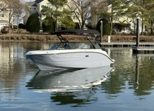 Thumbnail von Sea Ray SDX 250 Hors-bord