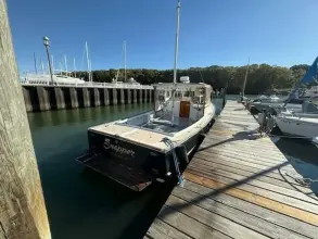 Thumbnail von Jarvis Newman 32