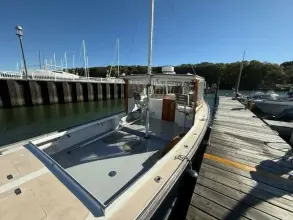 Thumbnail von Jarvis Newman 32