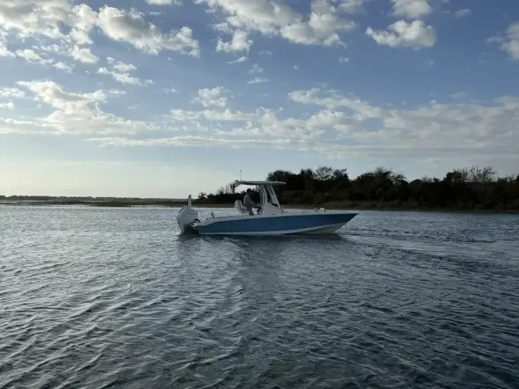 Boston Whaler 250 Dauntless