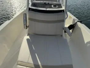 Thumbnail von Boston Whaler 250 Dauntless