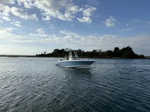 Thumbnail von Boston Whaler 250 Dauntless