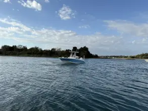 Thumbnail von Boston Whaler 250 Dauntless