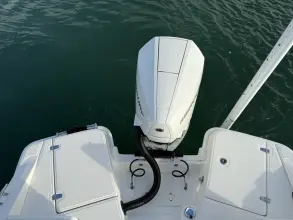 Thumbnail von Boston Whaler 250 Dauntless