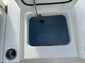 Thumbnail von Boston Whaler 250 Dauntless