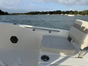 Thumbnail von Boston Whaler 250 Dauntless