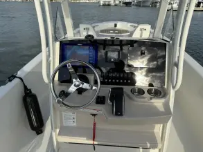 Thumbnail von Boston Whaler 250 Dauntless
