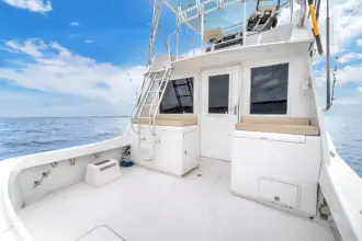 Thumbnail von ハッタラス 42 コンバーチブル