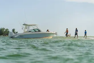 Thumbnail von Boston Whaler 240 Vantage