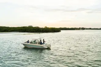 Thumbnail von Boston Whaler 240 Vantage