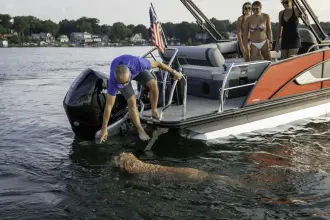 Thumbnail von Barletta Lusso 25UC