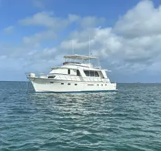 Thumbnail von Defever CPMY We Idle In