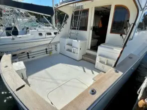 Thumbnail von Post 46 Jubilee