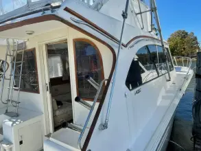 Thumbnail von Post 46 Jubilee