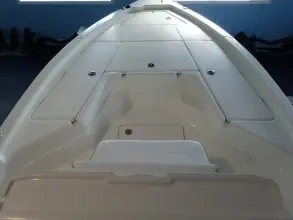 Thumbnail von Skeeter SX 221