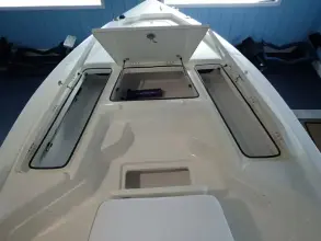 Thumbnail von Skeeter SX 221