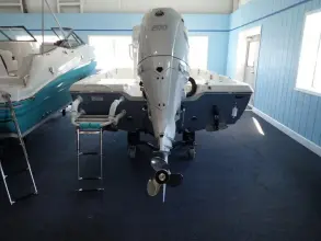 Thumbnail von Skeeter SX 221