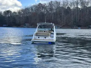 Thumbnail von Sea Ray SLX 310