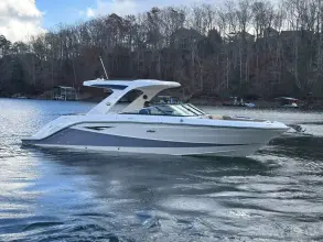 Thumbnail von Sea Ray SLX 310