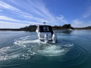 Thumbnail von Sea Ray 320 Sundancer Outboard