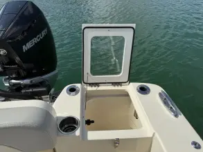 Thumbnail von Scout 240 Dorado