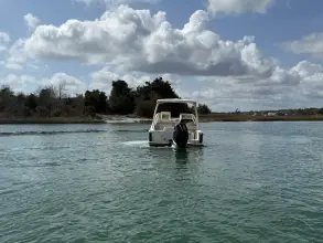 Thumbnail von Scout 240 Dorado