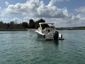 Thumbnail von Scout 240 Dorado