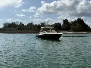 Thumbnail von Scout 240 Dorado