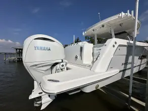 Thumbnail von Regal 38 SAV