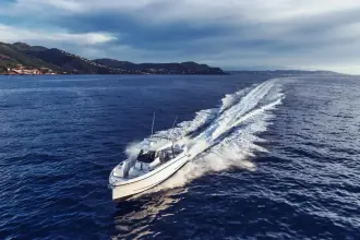 Thumbnail von Wellcraft 38 T-Top