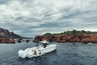 Thumbnail von Wellcraft 38 T-Top