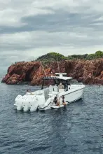 Thumbnail von Wellcraft 38 T-Top