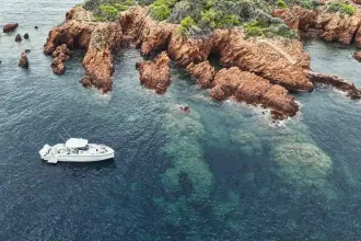 Thumbnail von Wellcraft 38 T-Top