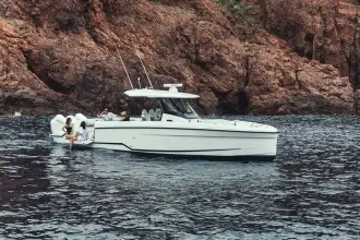 Thumbnail von Wellcraft 38 T-Top