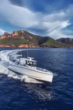 Thumbnail von Wellcraft 38 T-Top