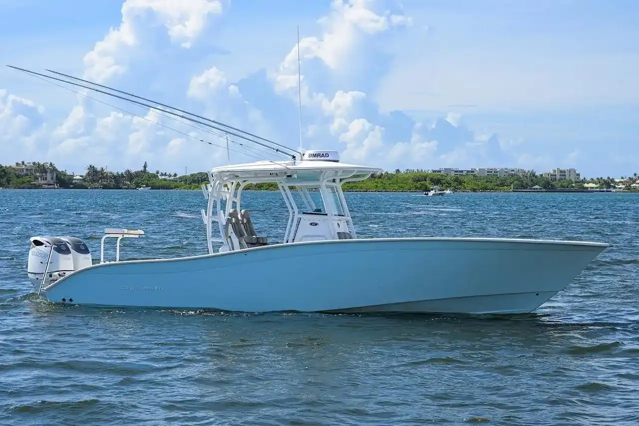 Thumbnail von Cape Horn 31 T