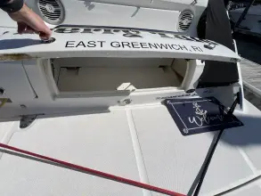 Thumbnail von シー・レイ 350 サンダンサー