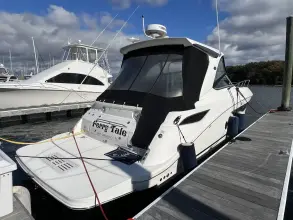 Thumbnail von シー・レイ 350 サンダンサー