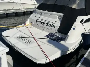 Thumbnail von シー・レイ 350 サンダンサー