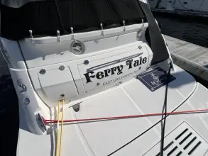 Thumbnail von シー・レイ 350 サンダンサー