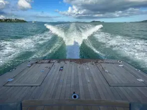 Thumbnail von Sacs Strider 15