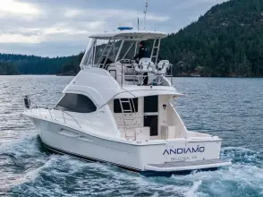 Thumbnail von Riviera 4400 Sport Yacht