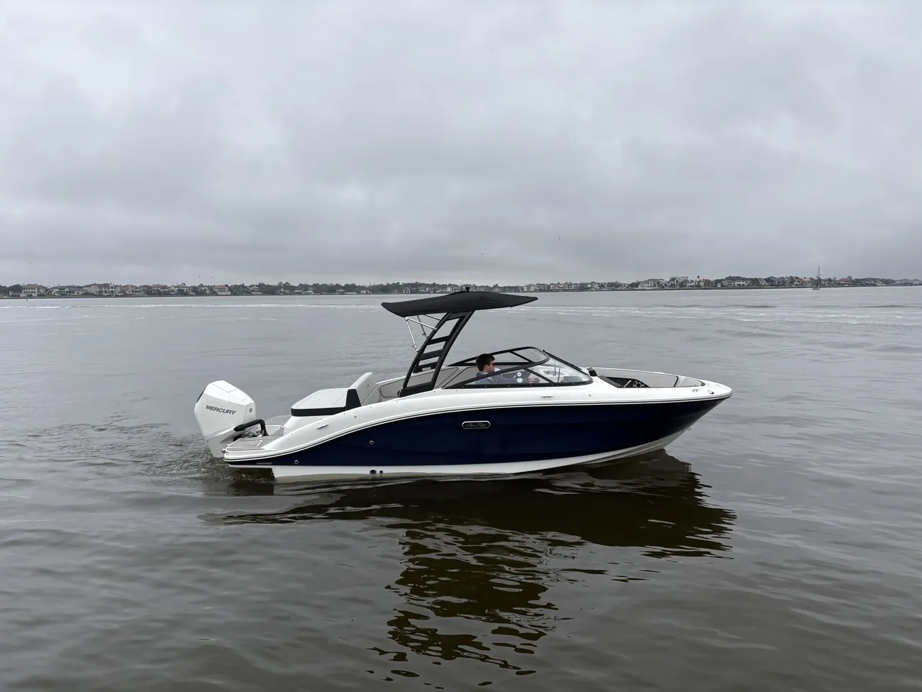 Sea Ray SPX 210 Outboard